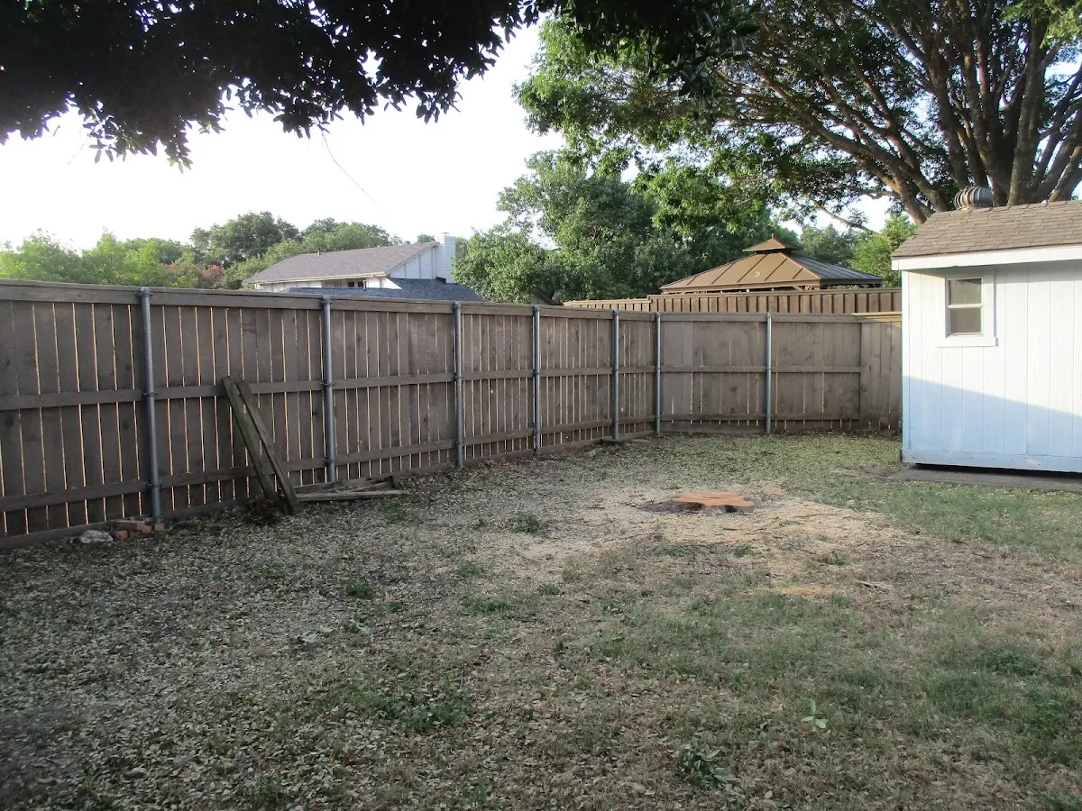 Cleared yard after professional tree removal in Saint Matthews